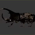 Realistic 3D Rendering of Horned Beetle With Spotted Exoskeleton and Curved Antlers