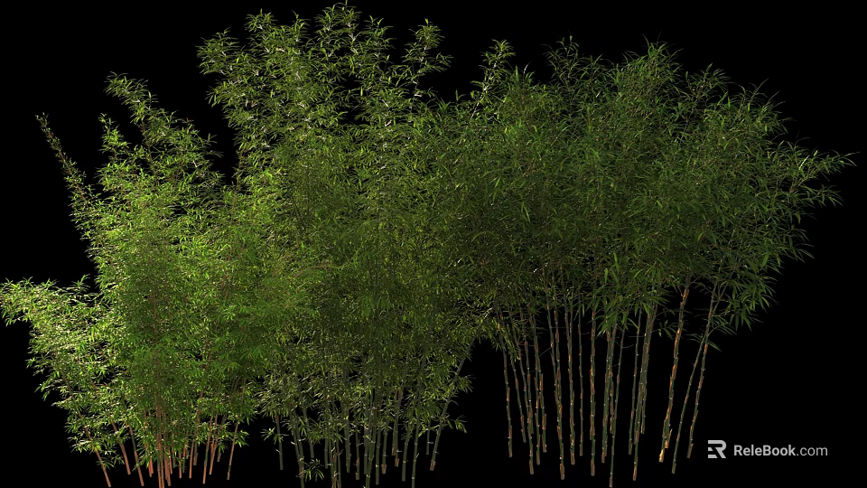 Lush Green Bamboo Plants With Tall Stems And Fresh Leaves In Natural Scene 3d model 