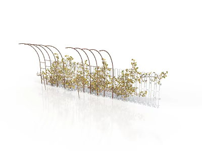 Outdoor Metal Arch Trellis With Climbing Plants And Green Yellow Leaves 3d model