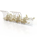 Outdoor Metal Arch Trellis With Climbing Plants And Green Yellow Leaves