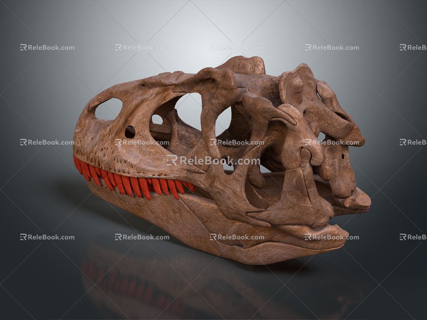 Tyrannosaurus rex Tyrannosaurus rex skull dinosaur skull 3d model