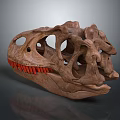Detailed Brown Dinosaur Skull Doll with Red Teeth On Gray Background 3d model