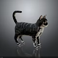Striped Cat Standing with Raised Tail and White Paws on Gray Background 3d model