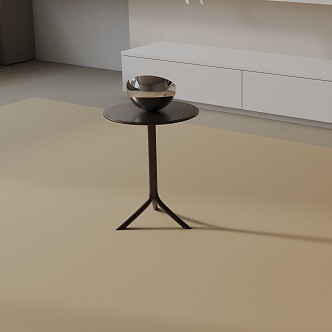 Modern Side 3d model