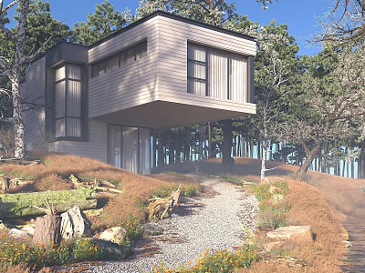 Modern Single Family House in Wooded Area With Large Windows Wooden Exterior and Gravel Pathway 3d model