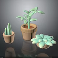 Indoor Decorative Potted Plants With Green Leaf Succulent Cactus In Terracotta Pots