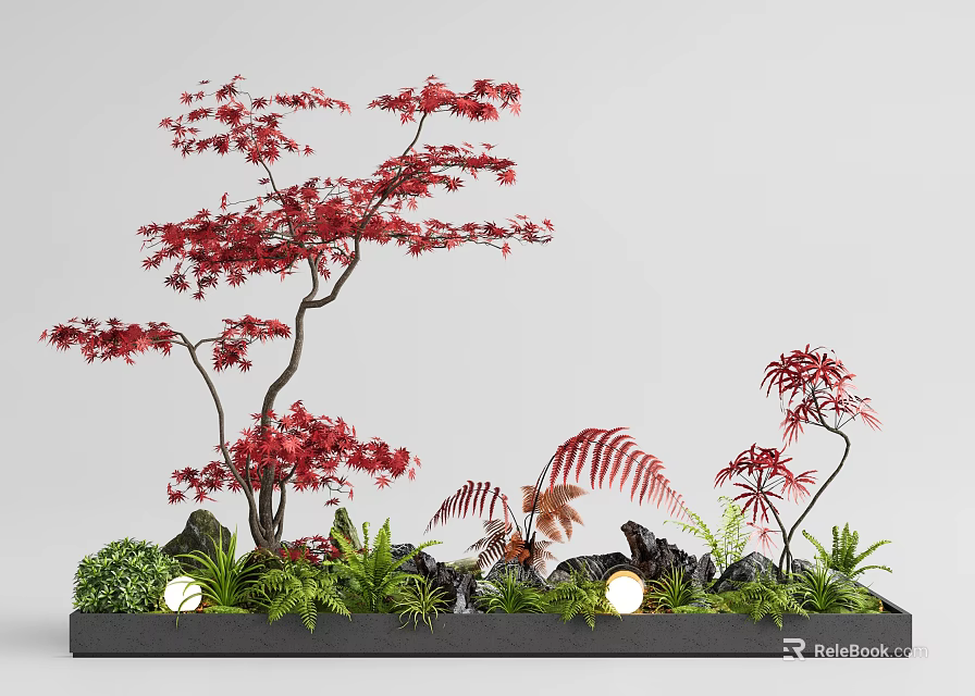 Indoor Landscape With Red Maple Tree Ferns Green Plants Black Stones And Round Lights 3d model 