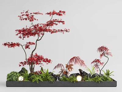 Indoor Landscape With Red Maple Tree Ferns Green Plants Black Stones And Round Lights 3d model