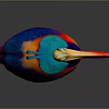Vibrant Artistic Bird With Colorful Feathers Long Beak And Crest On Gray Background
