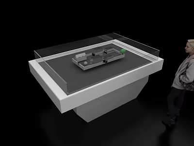 Detailed Sand Table Model On White Display Stand With Transparent Cover And Person Viewing 3d model