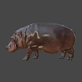 Realistic 3D Hippopotamus Figure With Detailed Skin Texture And Natural Standing Pose