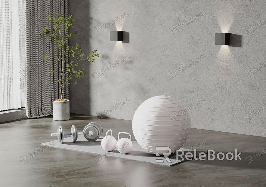 Modern Yoga Ball Yoga Equipment model