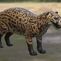 Realistic Reptile Model With Leopard Like Spots In Standing Posture On Grassland Background