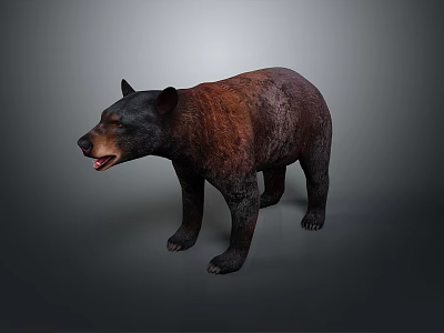 Realistic 3D Brown Bear Model With Detailed Fur Texture And Standing Position 3d model