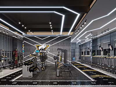 Modern Gym Interior For Fitness With Diverse Equipment And Lighting 3d model