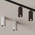 Sleek Modern Downlights And Spotlights In Black White Ceiling Lighting Design 3d model