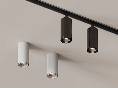 Sleek Modern Downlights And Spotlights In Black White Ceiling Lighting Design 3d model