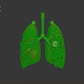 Steampunk Lungs Anatomical Model With Hair Like Bronchial Fibers And Gear Decorations