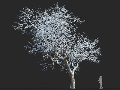 Snow Covered Tree With Bare Branches And Silhouette Figure On Dark Background 3d model