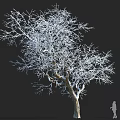 Snow Covered Tree With Bare Branches And Silhouette Figure On Dark Background 3d model