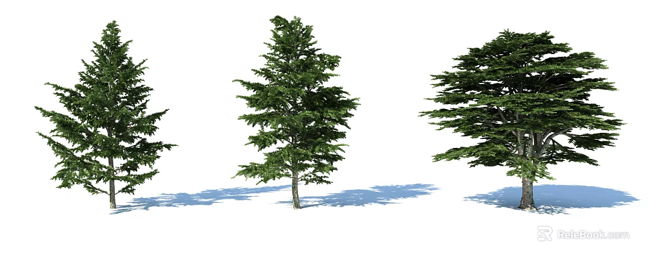 Tall Green Arbor Trees With Lush Foliage And Distinct Trunks Casting Shadows 3d model 