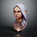 Elf Character 3D Model Bust Featuring Silver Gray Long Hair Pointed Ears And Decorative Collar