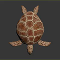 Red Sea Turtle Marine Animal With Detailed Shell Pattern And Webbed Flippers 3d model