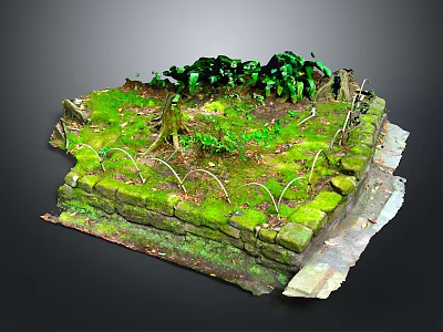 Lush Natural Scene Featuring Mossy Stone Structure Green Plants And Twisting Vines 3d model