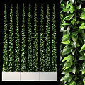 Lush Green Plant Wall With Hanging Vines And White Planter Containers