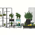 Modern Indoor Hanging Basket Plants With Decorative Shelves And Greenery Design