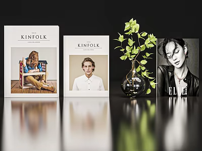 Stylish Display of KINFOLK and ELLE Magazines with Green Plant and Vase 3d model
