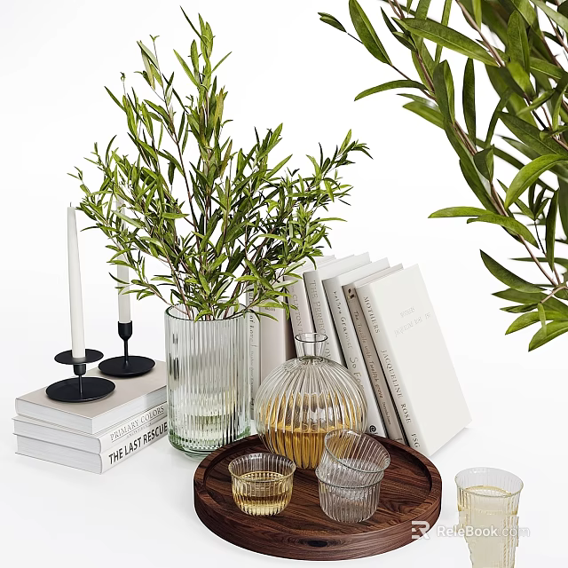Elegant Decorative Ornament Set With Green Plants Stacked Books Glass Vases Candles And Wooden Tray 3d model 