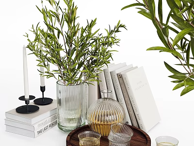 Elegant Decorative Ornament Set With Green Plants Stacked Books Glass Vases Candles And Wooden Tray 3d model
