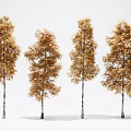 Ginkgo tree landscape tree autumn yellow leaf tree 3d model