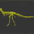 Detailed Prehistoric Dinosaur Skeleton Standing With Lifelike Stance In Scientific Museum Exhibit