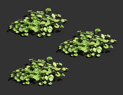 modern plants 3d model modern plants 3d model