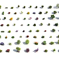 Diverse Collection Of Plants Including Trees Shrubs And Flowers For Landscaping