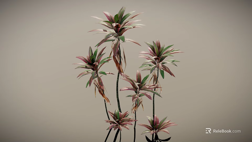 Vibrant Leafy Plants Featuring Pink And Green Leaves On Slender Stems Against Gray Background 3d model 
