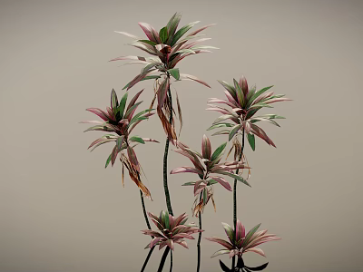 Vibrant Leafy Plants Featuring Pink And Green Leaves On Slender Stems Against Gray Background 3d model