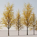 Golden Leaf Arbor Trees With Person Standing Under Blue Sky And Snowy Ground