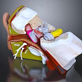 3D Ear Anatomical Illustration Showing Detailed Internal Structure And Medical Components For Education