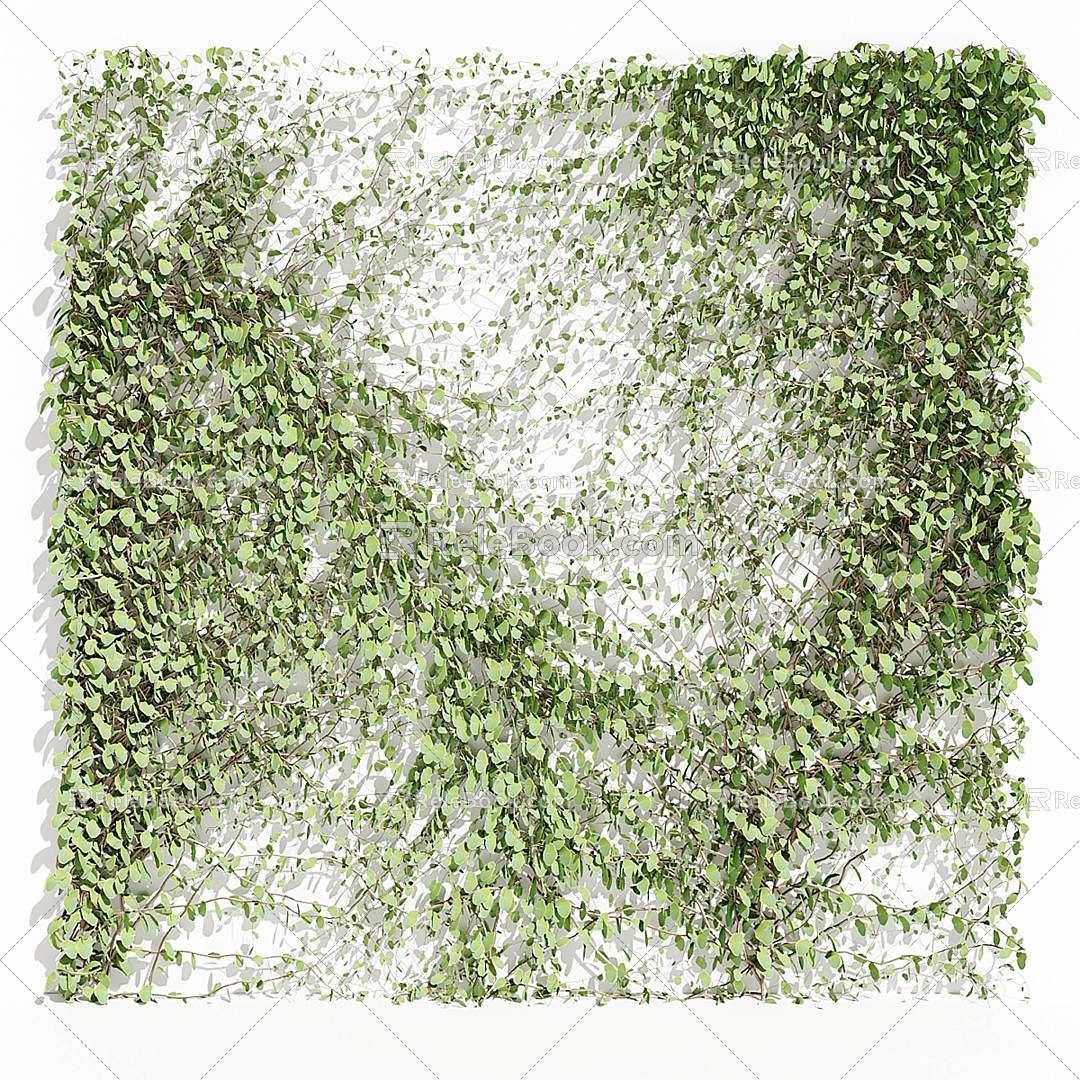 Greenery Vine Plant Wall 3d model