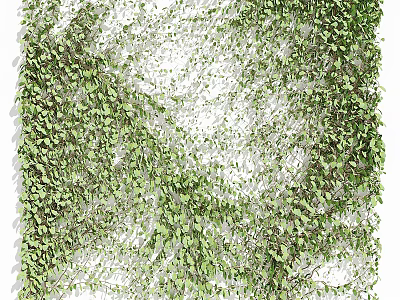 Lush Green Vines As Decorative Wall Covering 3d model