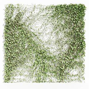 Greenery Vine Plant Wall 3d model