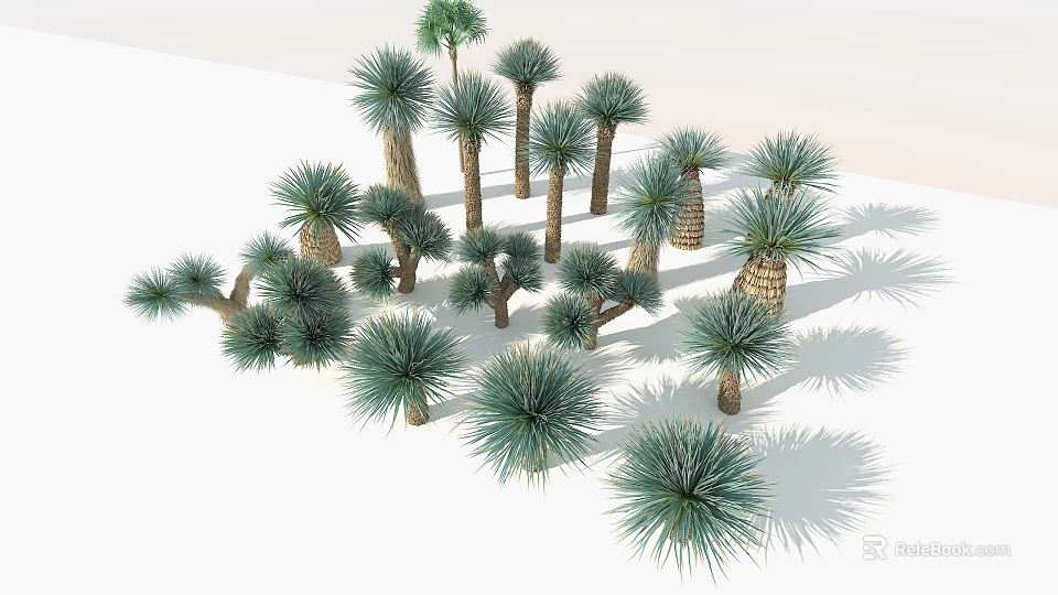 Various Trees With Green Foliage Different Trunk Shapes and Shadows 3d model 