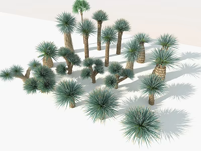 Various Trees With Green Foliage Different Trunk Shapes and Shadows 3d model