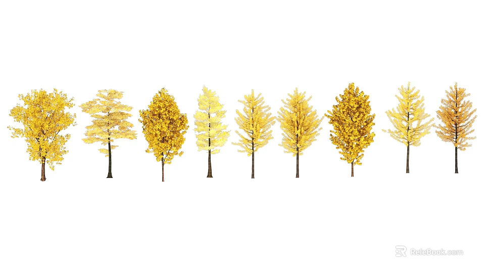 Golden Leaf Trees in Autumn with Slender Trunks Lined Up Neatly 3d model 