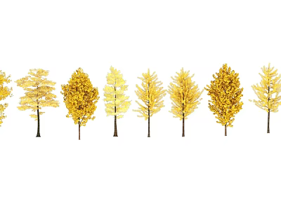Golden Leaf Trees in Autumn with Slender Trunks Lined Up Neatly 3d model
