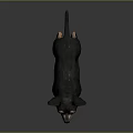 Small Black and Brown Dog with Erect Ears Standing on Gray Smooth Surface