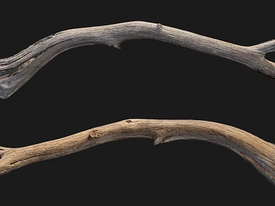 Natural Stone Wood Curved Branches in Light and Dark Tones Against Black Background 3d model